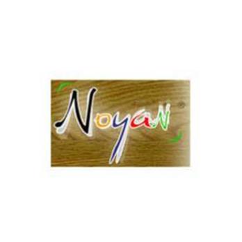 Noyan